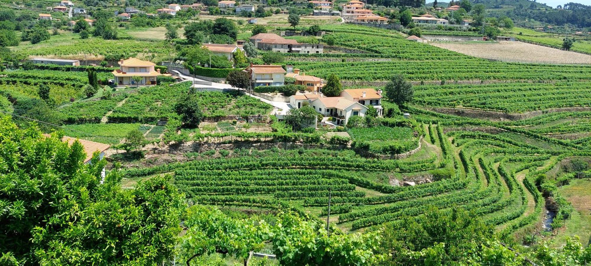 Villa Quinta Dos Castros Douro Baião Exterior foto