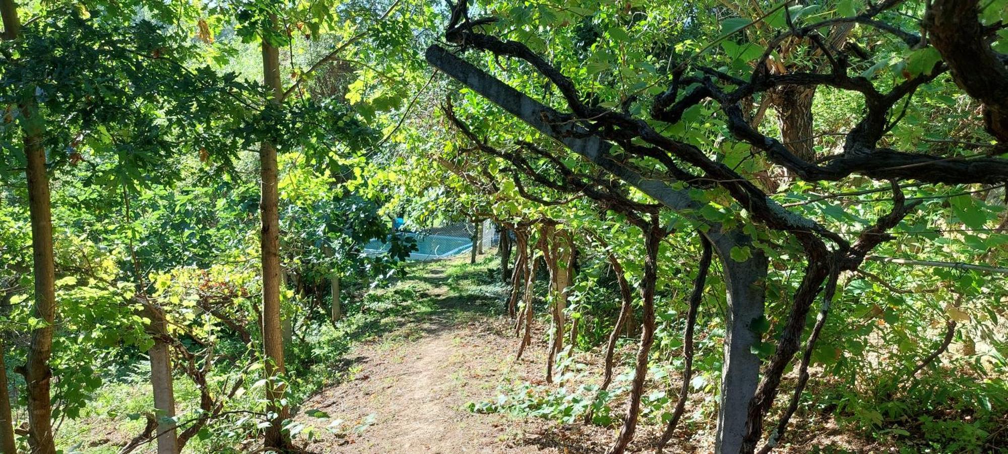 Villa Quinta Dos Castros Douro Baião Exterior foto