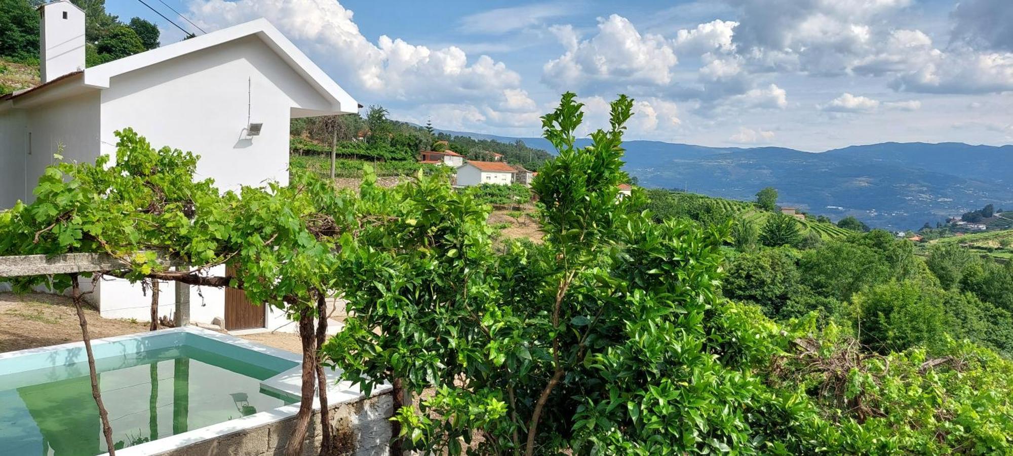 Villa Quinta Dos Castros Douro Baião Exterior foto
