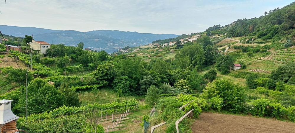 Villa Quinta Dos Castros Douro Baião Exterior foto