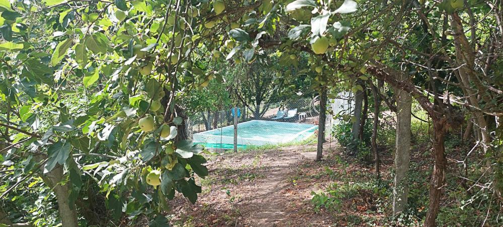 Villa Quinta Dos Castros Douro Baião Exterior foto