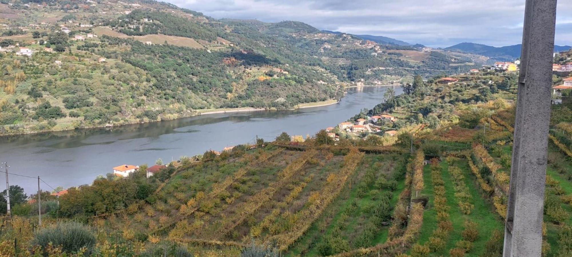 Villa Quinta Dos Castros Douro Baião Exterior foto